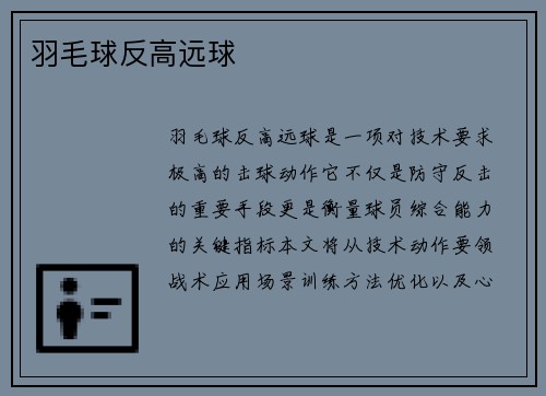 羽毛球反高远球
