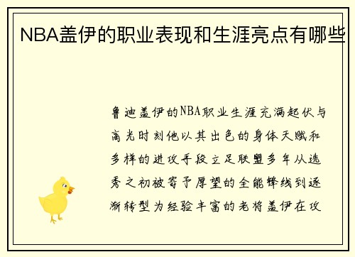 NBA盖伊的职业表现和生涯亮点有哪些